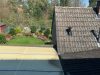 Zentrum Willich: Doppelhaushälfte mit großer Garage & Garten in ruhiger Allee - Erweiterung möglich - Garten Dach Wintergarten Anbau